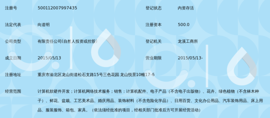 重慶小糊涂網絡科技 計算機軟硬件開發的創新之路