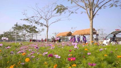 百花爭春！2023廣東省森林文化周春季活動正式啟動